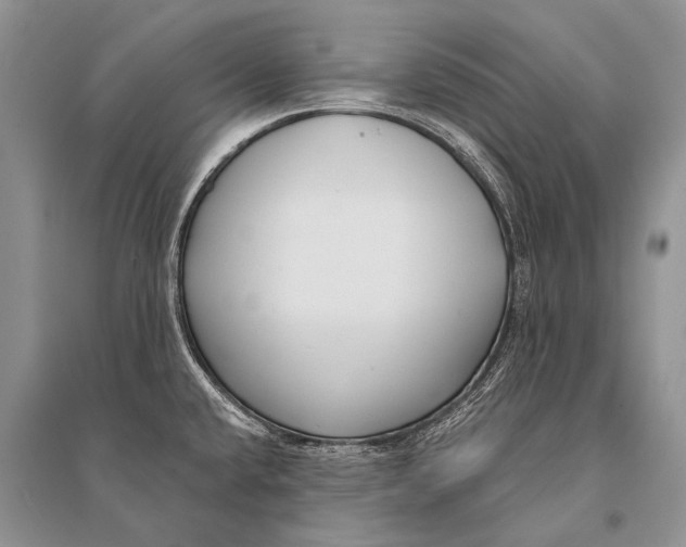 X0000094921432200712201210