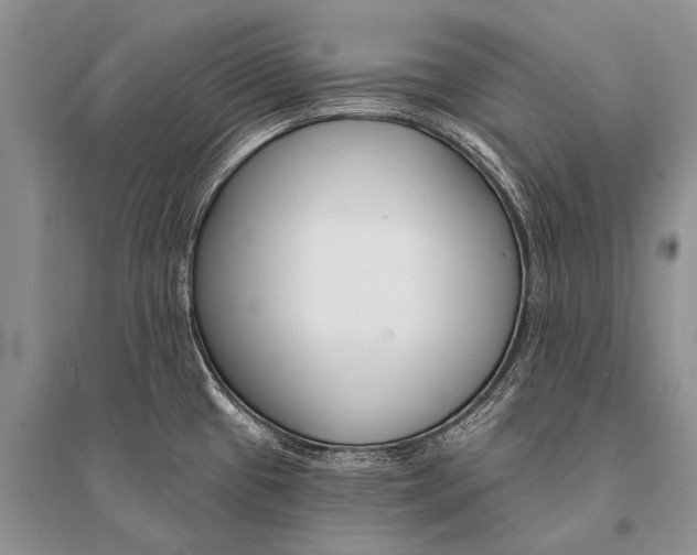 X0000094921433200712201210