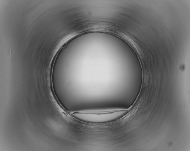 X0000094921434200712201210