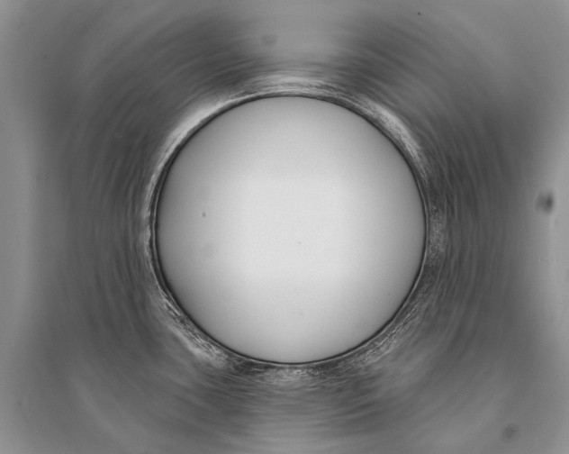 X0000094921435200712201210