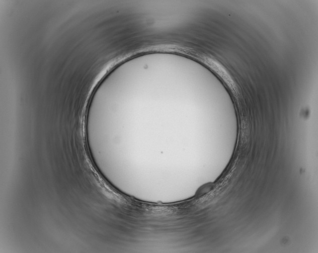 X0000094921436200712201210