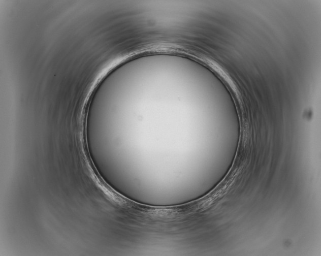 X0000094921437200712201210