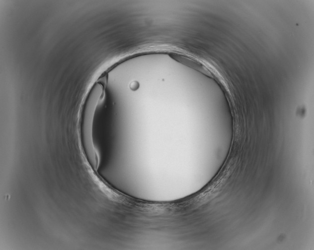 X0000094921438200712201210