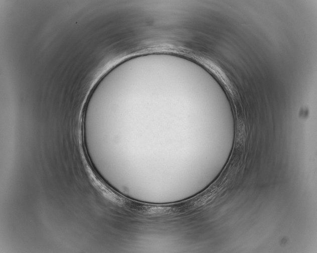 X0000094921439200712201210