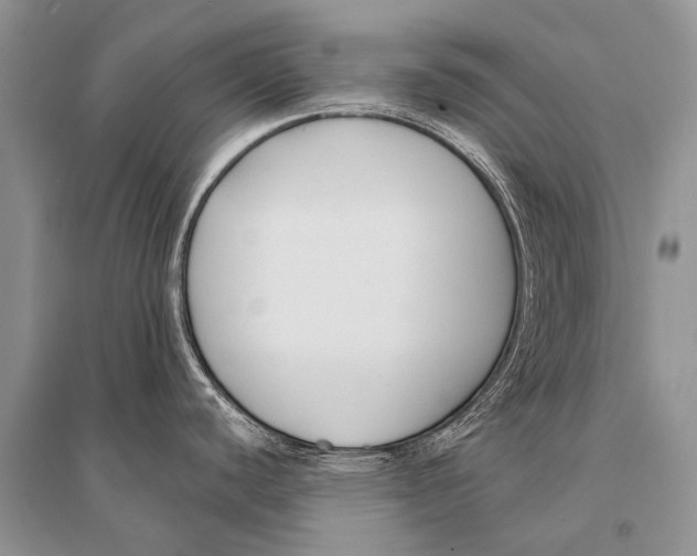 X0000094921440200712201210