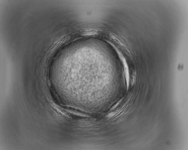 X0000094921441200712201209