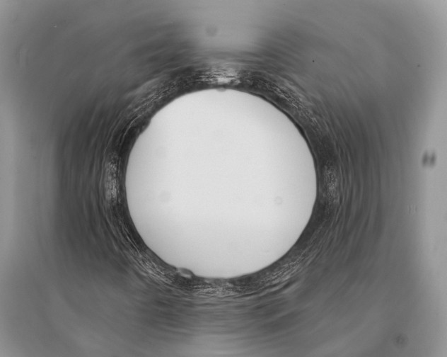 X0000094921442200712201209