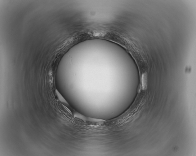 X0000094921443200712201209