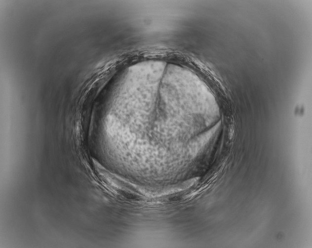 X0000094921445200712201209