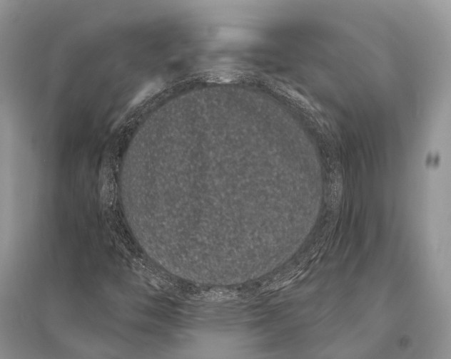 X0000094921446200712201209