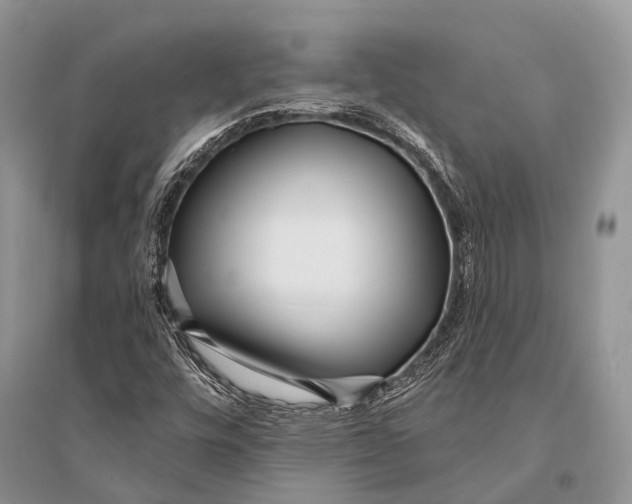 X0000094921448200712201209