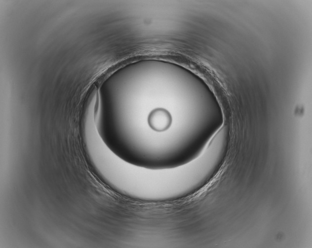 X0000094921449200712201209