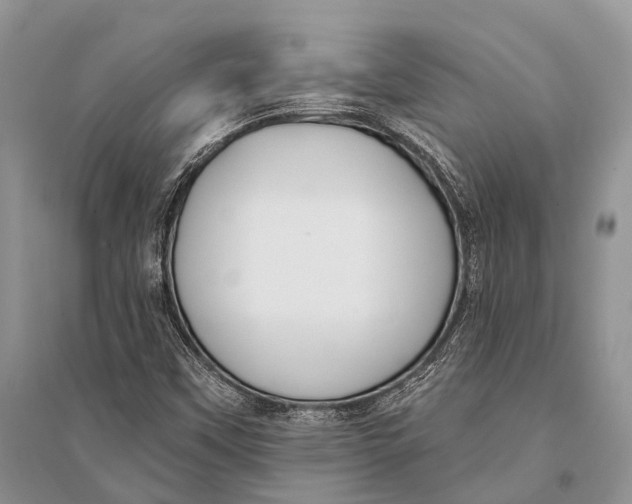 X0000094921451200712201209