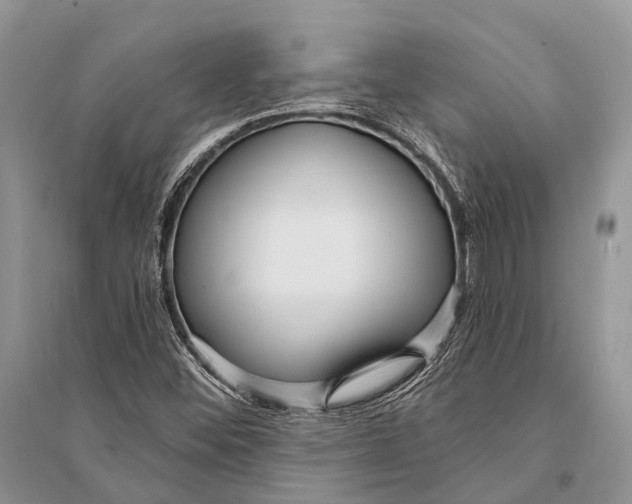 X0000094921452200712201209