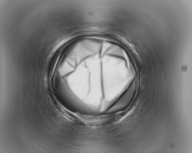 X0000094921453200712201209