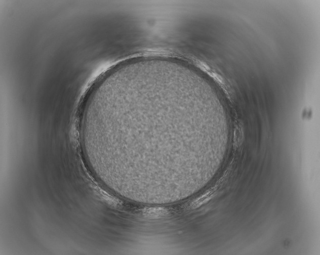 X0000094921454200712201209