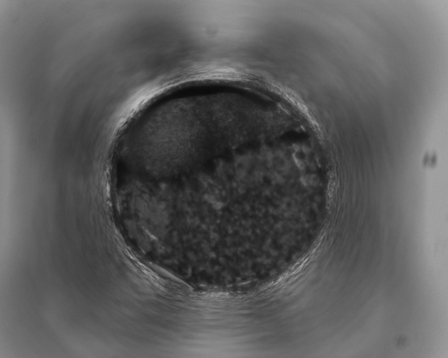 X0000094921455200712201209