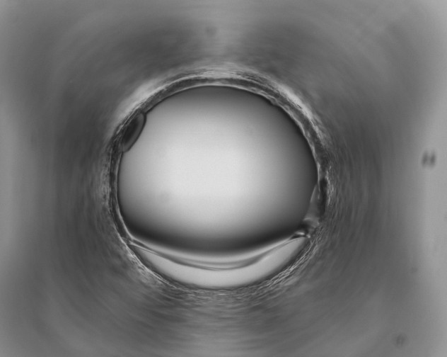 X0000094921456200712201209