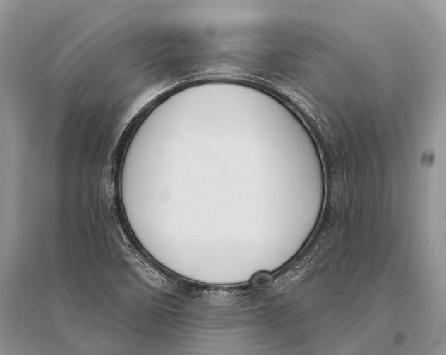 X0000094921458200712201209