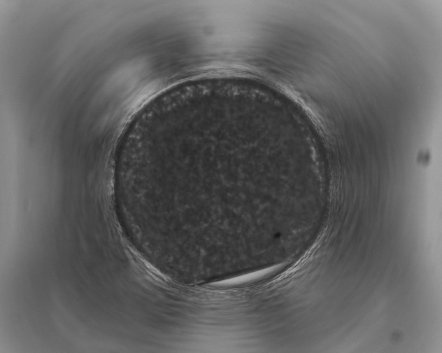 X0000094921459200712201209