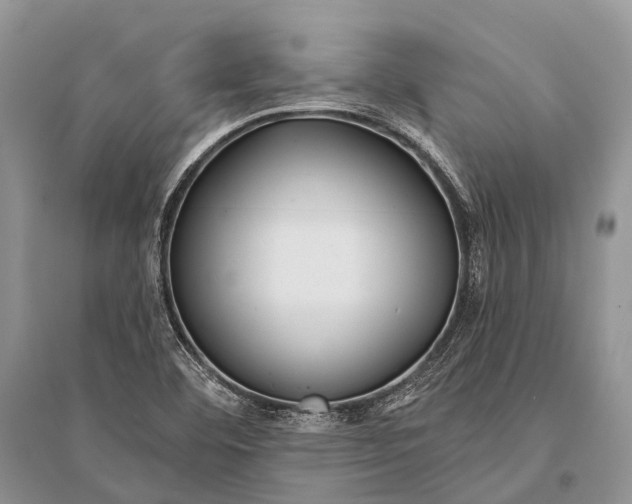 X0000094921460200712201209