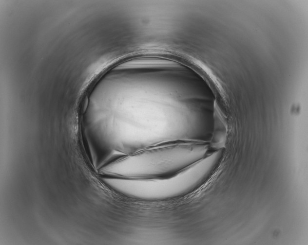 X0000094921461200712201209