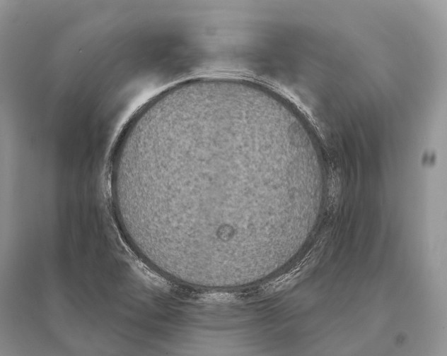 X0000094921462200712201209