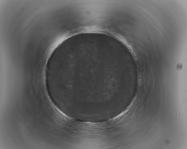 X0000094921463200712201209