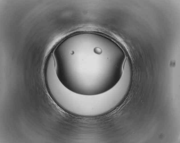 X0000094921464200712201209