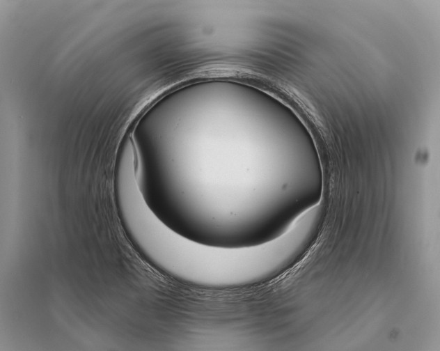 X0000094921465200712201209