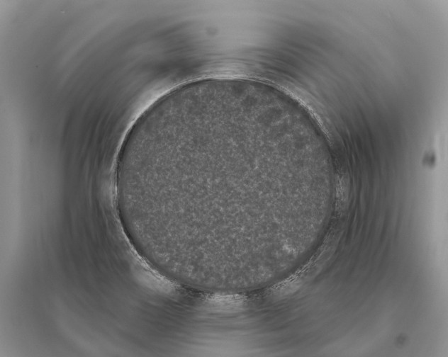 X0000094921466200712201209