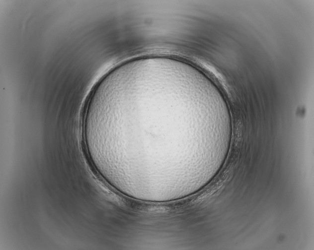 X0000094921467200712201209