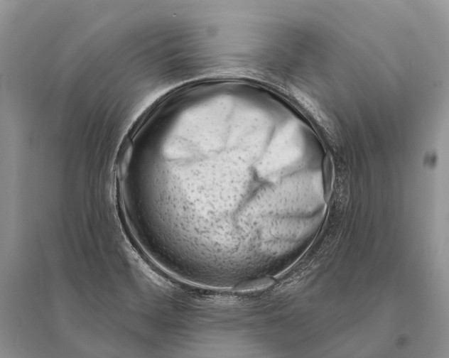 X0000094921468200712201209