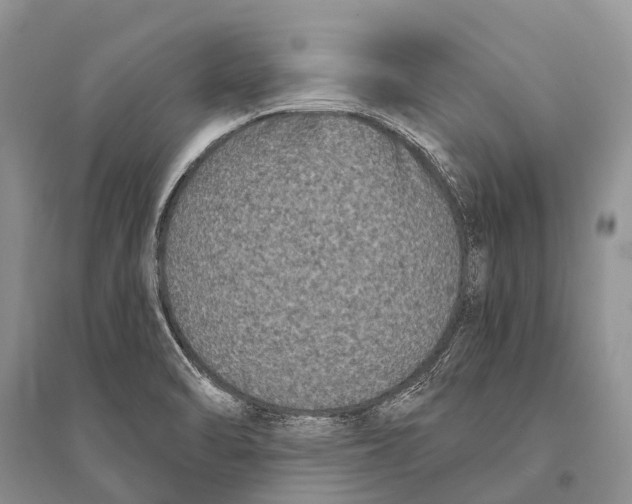 X0000094921470200712201209