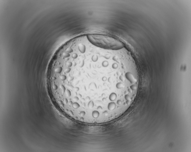 X0000094921471200712201209