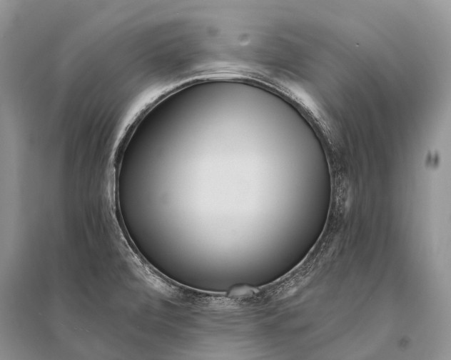 X0000094921472200712201209