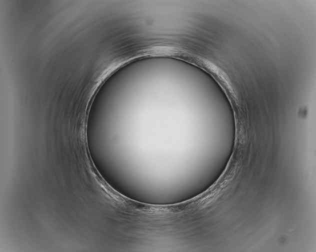 X0000094921473200712201209