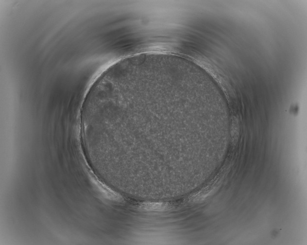 X0000094921474200712201209