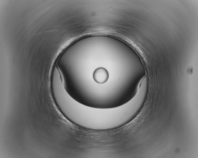 X0000094921477200712201209