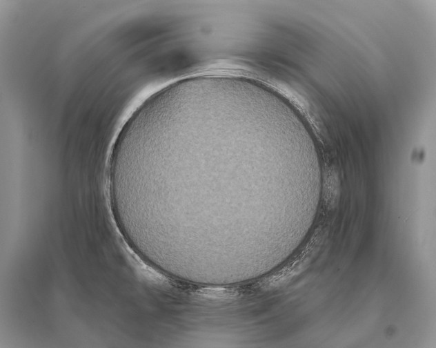 X0000094921478200712201209