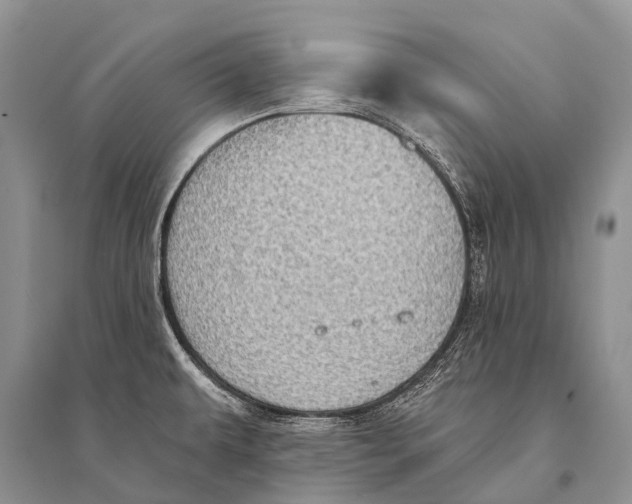 X0000094921479200712201209