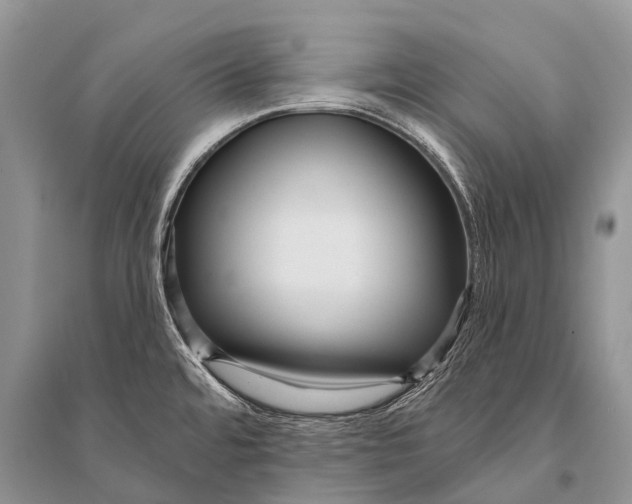 X0000094921480200712201209