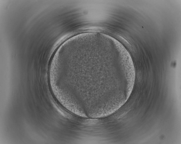 X0000094921482200712201209