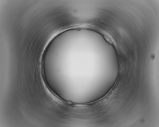 X0000094921483200712201209