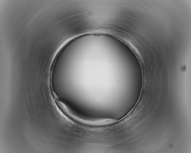 X0000094921484200712201209