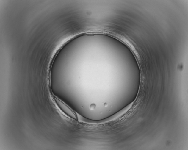 X0000094921485200712201209