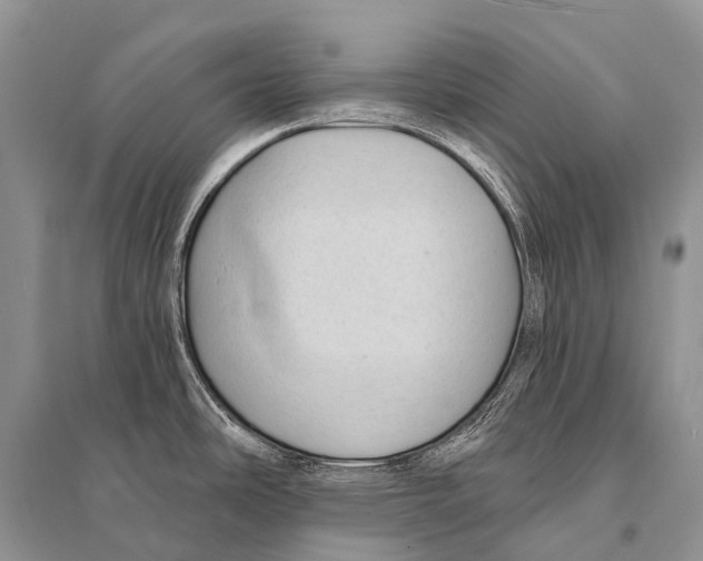 X0000094921486200712201209