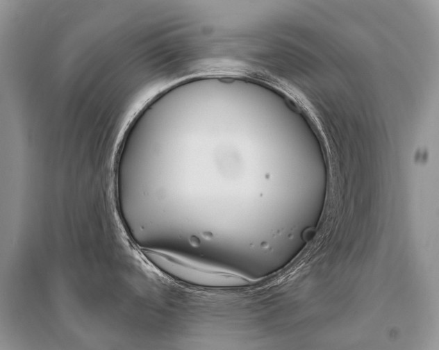 X0000094921488200712201209