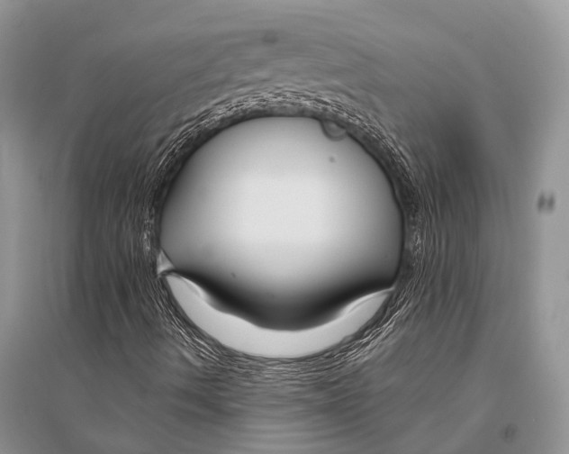 X0000094921490200712201208