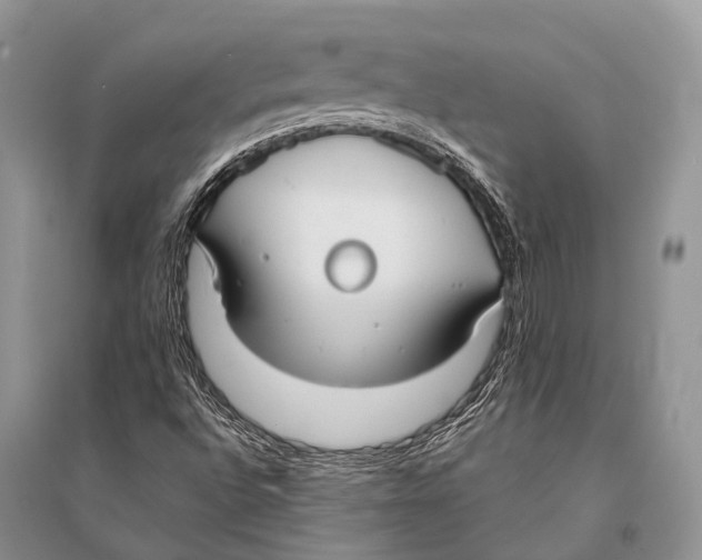 X0000094921496200712201208